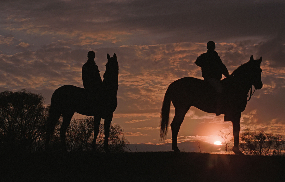 Horse Riding