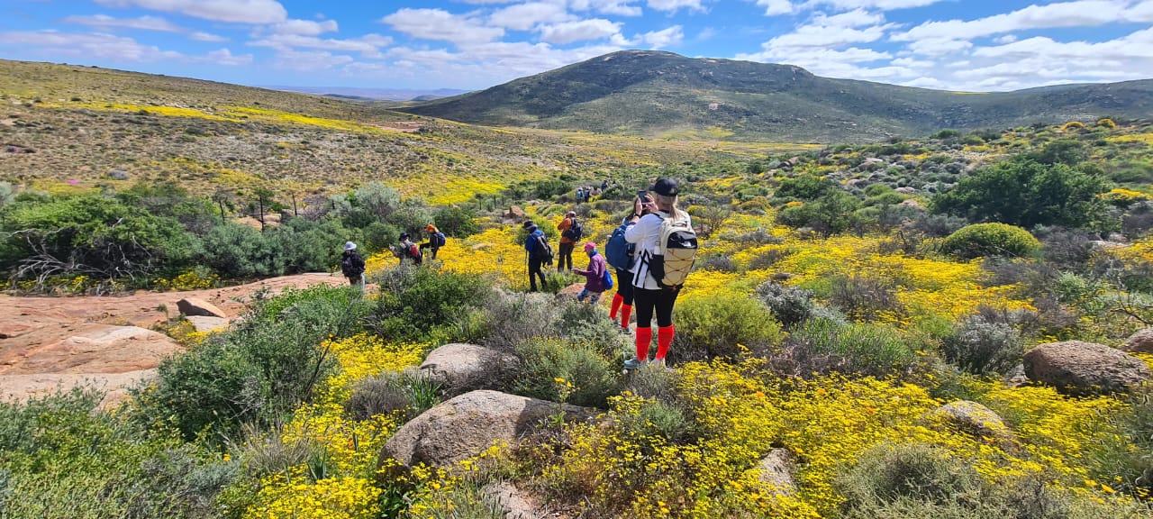 3 Day Namakwa Flower Hike - Northern Cape