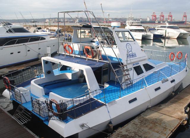 Boat Trips