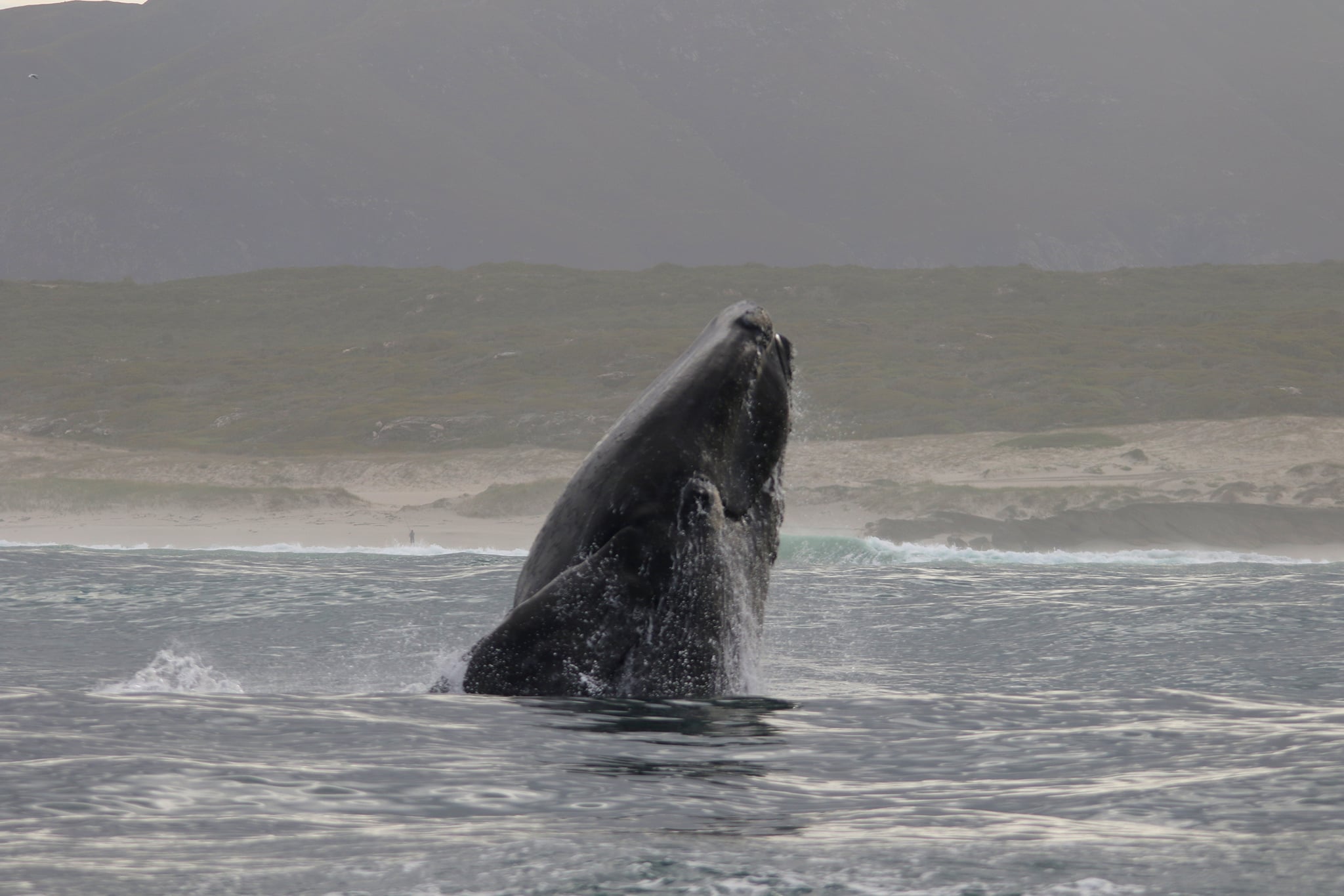 South African Adventures 20