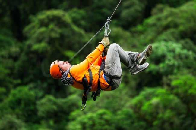 Canopy Tours