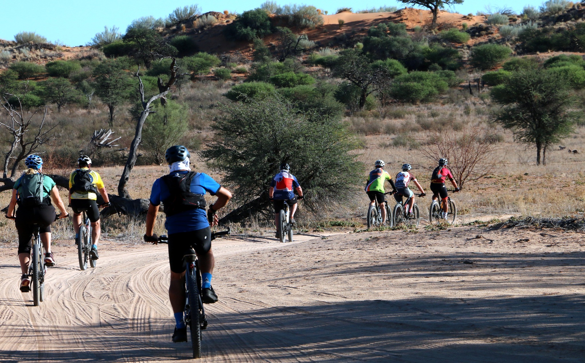 5 Day Kalahari Mountain Bike Traverse Tour - Northern Cape