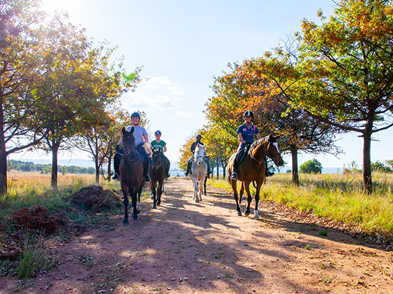 Horse Riding