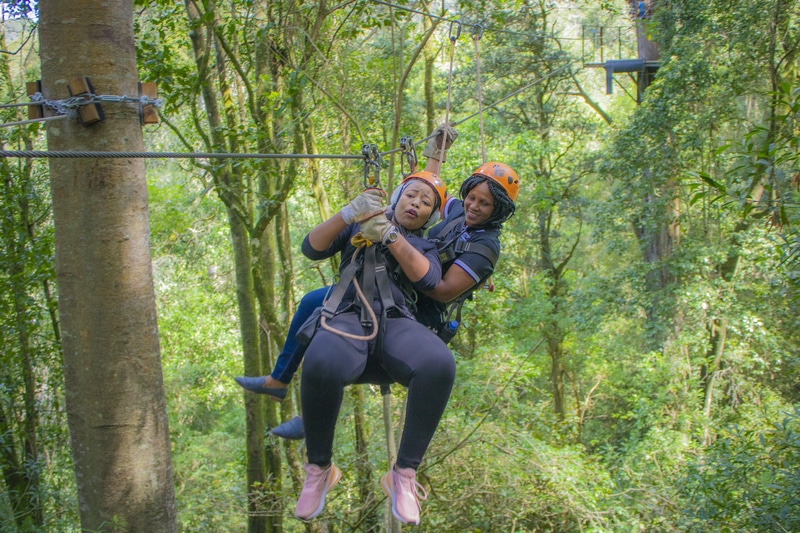 Zip Line
