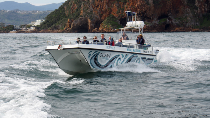 Boat Trips