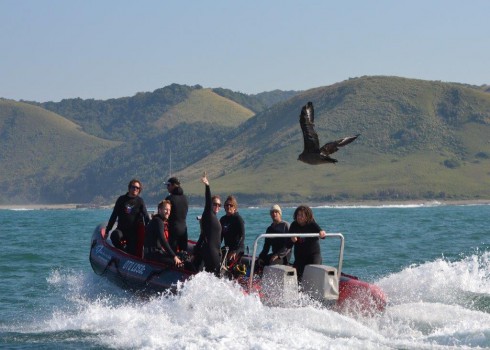 Boat Trips