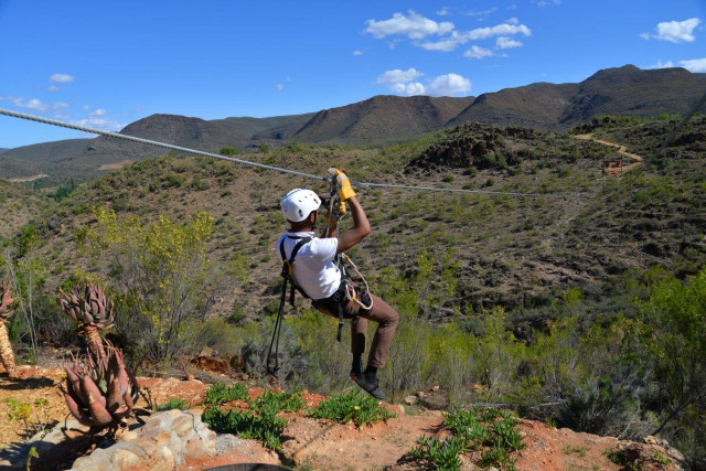 Zip Line