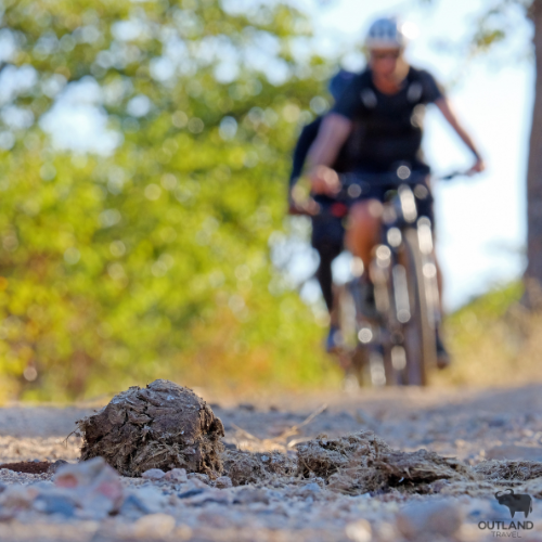 Cycle Tours