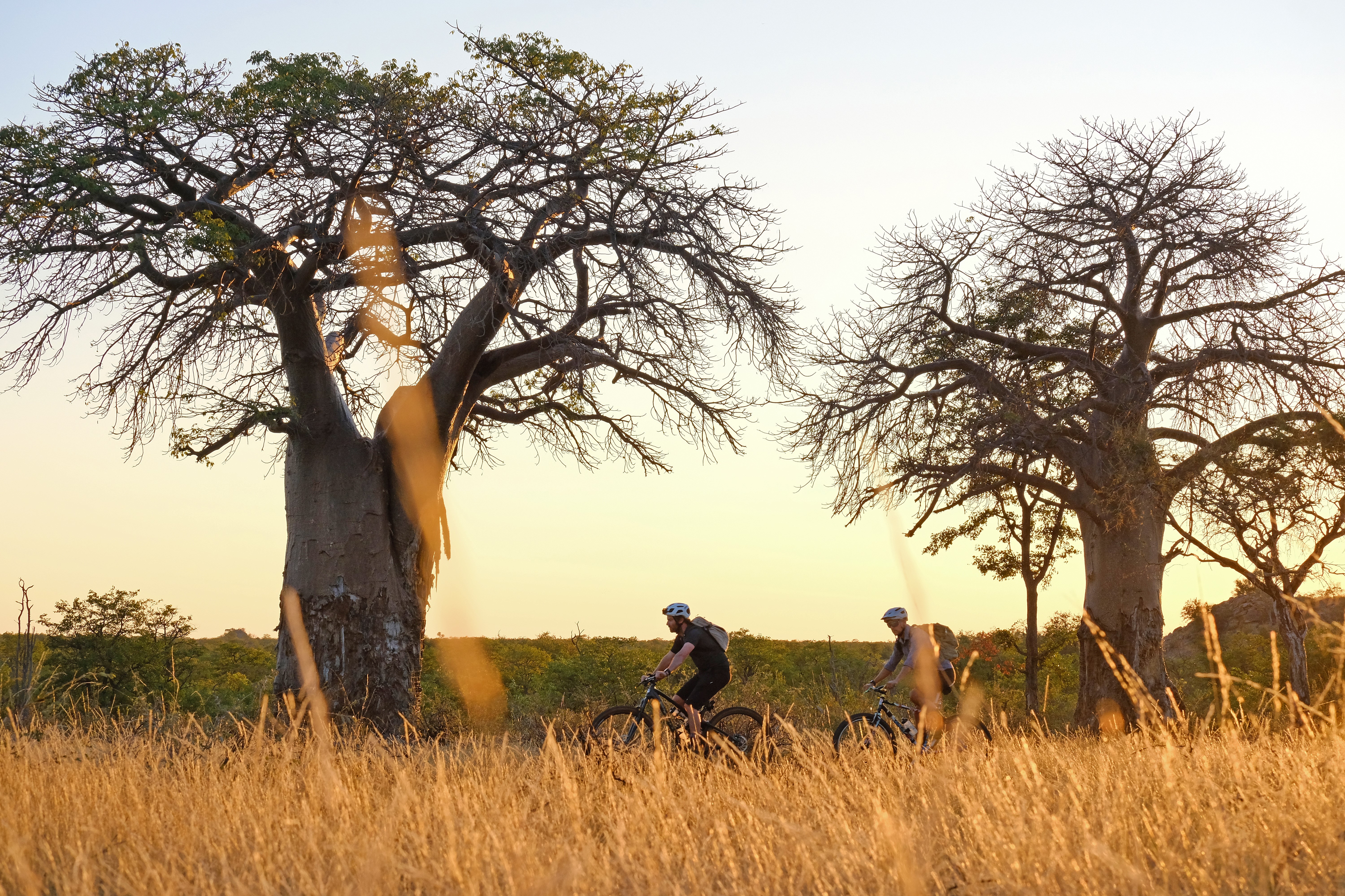 4 Day Wilderness Big 5 Cycle Safari - Limpopo