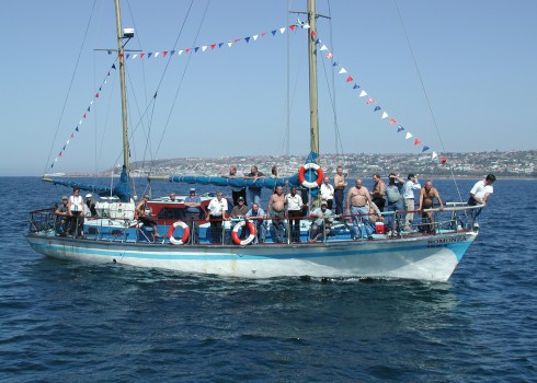 Boat Trips
