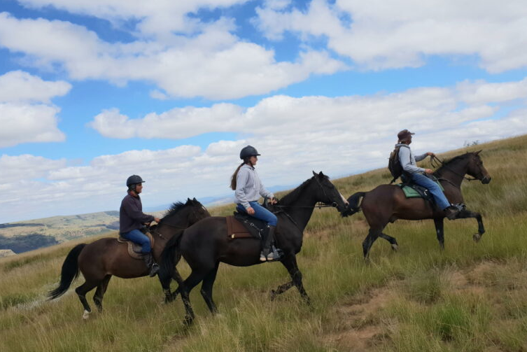 Horse Riding