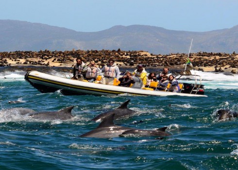 Boat Trips