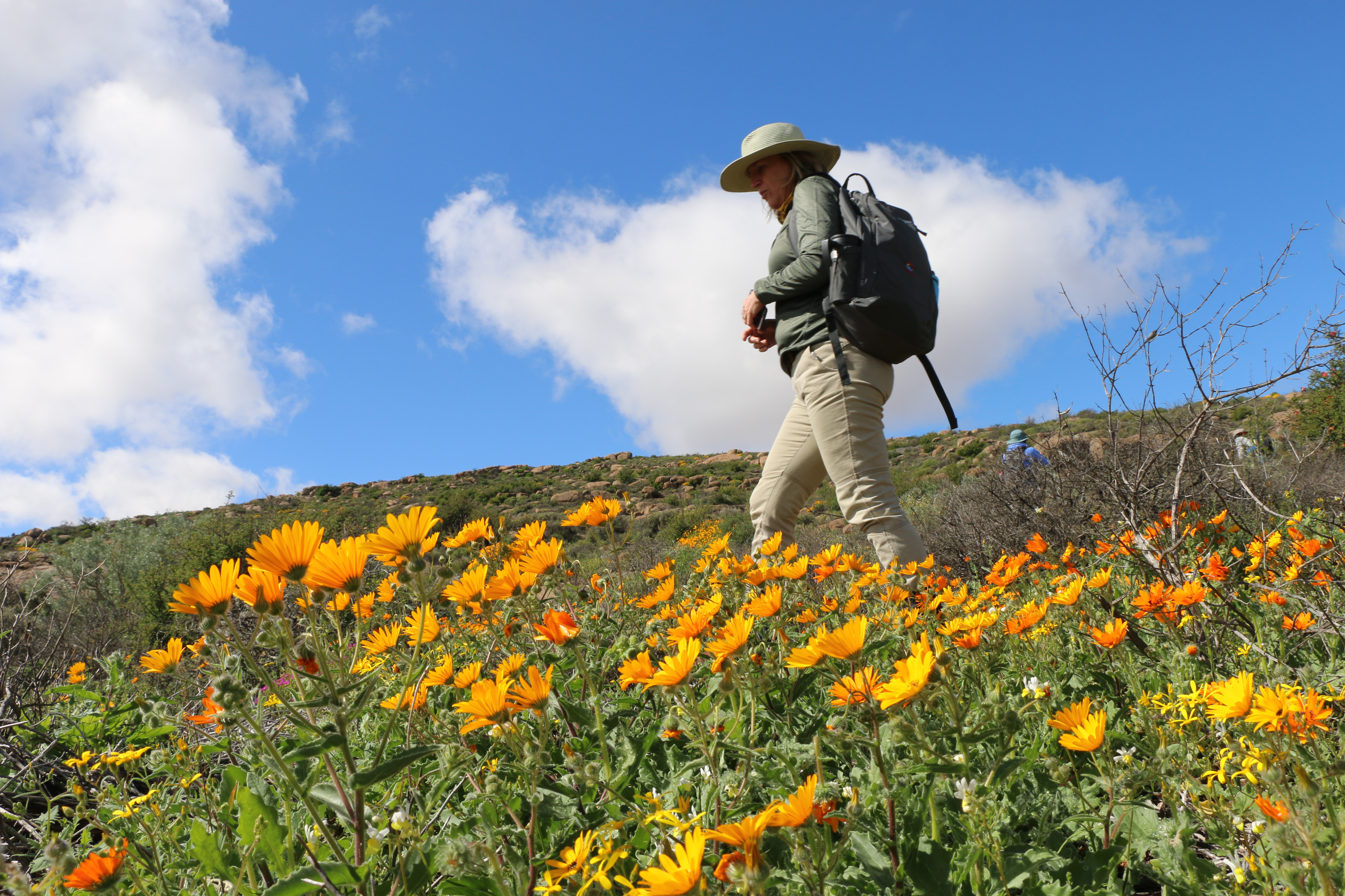 4 Day Schaapriver Canyon Flower Hike - Northern Cape