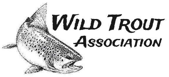 Wild Trout Association
