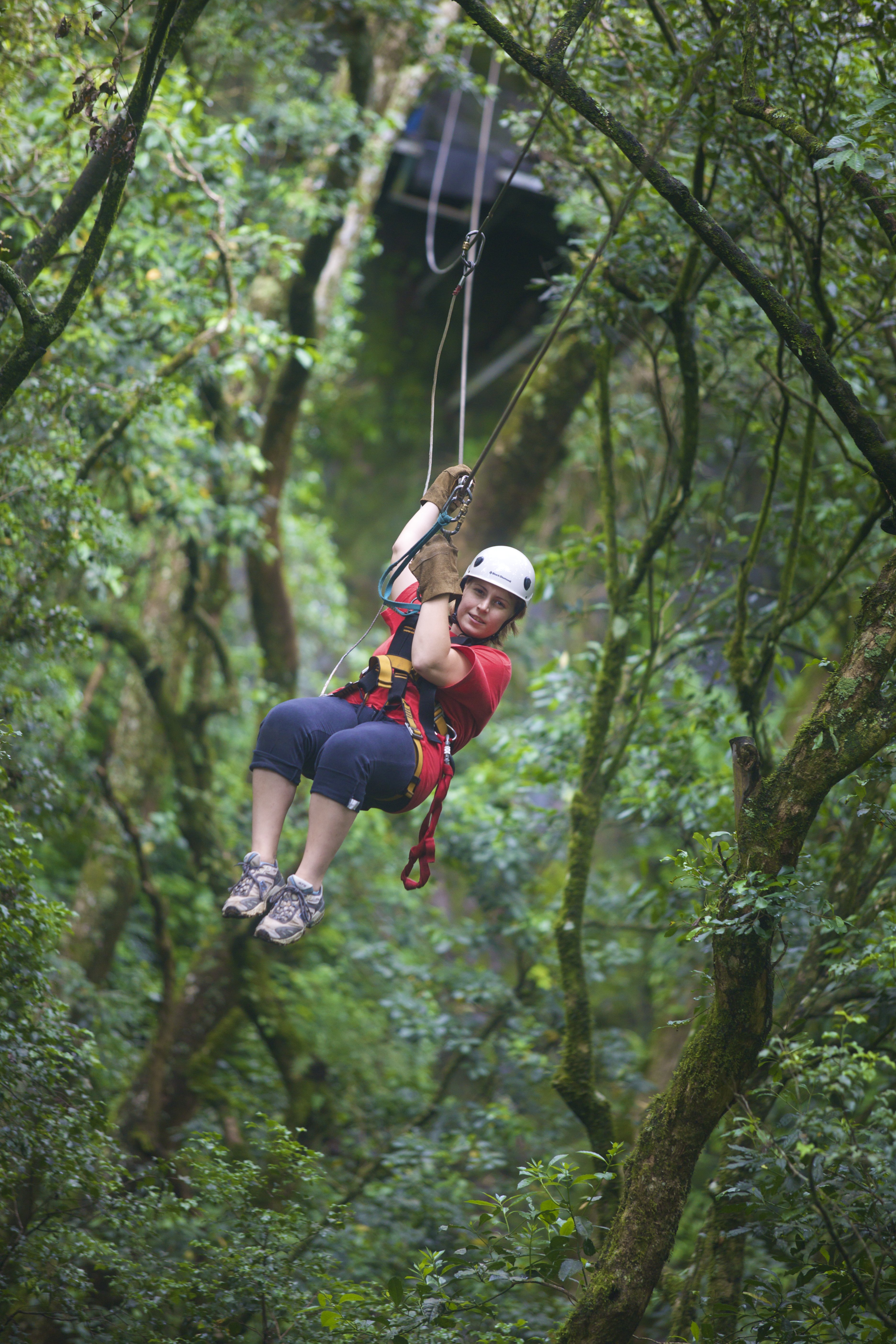 Canopy Tours