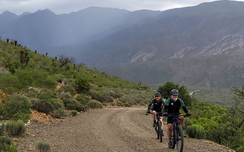 Bicycle Tours