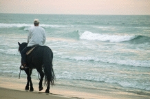Horse Riding
