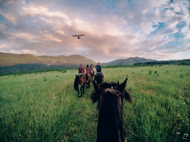 Horse Riding