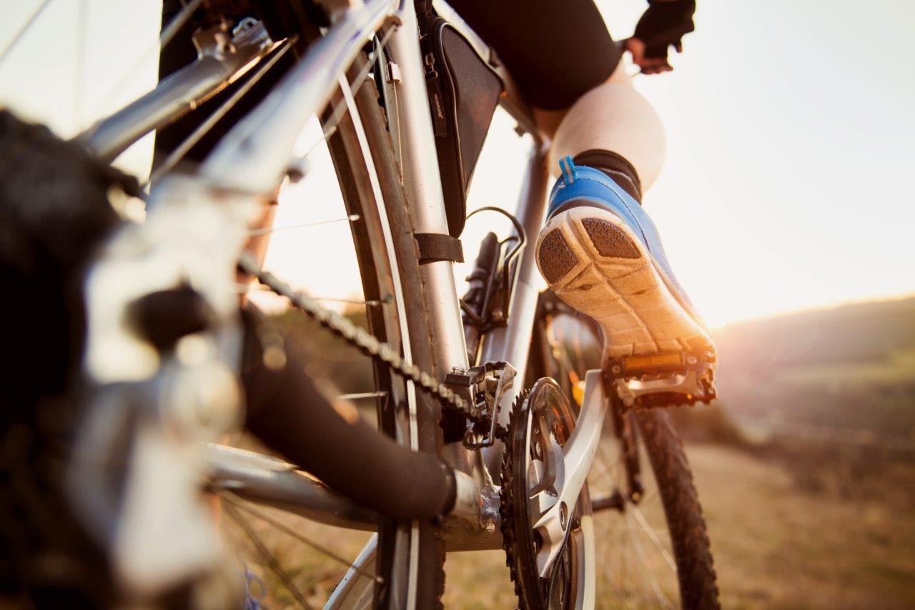 Bicycle Tours