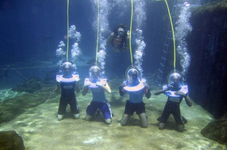 float your own boat: motorized inflatable bumper boat